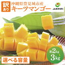 【ふるさと納税】【2025年発送・訳あり】【選べる内容量】 キーツマンゴー (白箱) ≫ 数量限定 沖縄県産 豊見城市 大容量 マンゴー キーツ フルーツ JA 果物 くだもの おきなわ 先行予約 ギフト 贈答 贈り物 プレゼント 送料無料