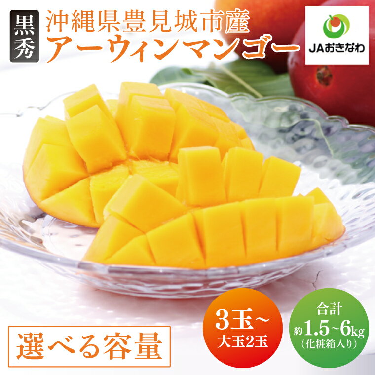 【ふるさと納税】【2025年6月より順次発送】【先行予約】【選べる内容量】「JAおきなわ 食菜館菜々色畑」黒秀アーウィンマンゴー
