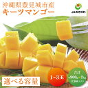 【ふるさと納税】【2025年発送】【選べる内容量】 ≪ キーツマンゴー (化粧箱) ≫ 数量限定 沖縄県産 豊見城市 大容量 マンゴー キーツ フルーツ JA 果物 くだもの おきなわ 先行予約 ギフト 贈答 贈り物 プレゼント 化粧箱入り 送料無料 (AE014)