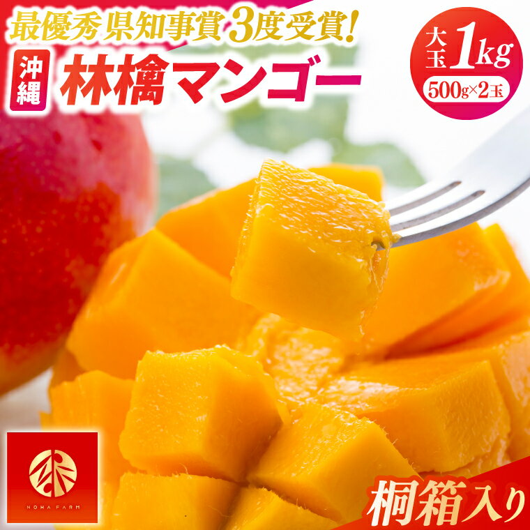 【ふるさと納税】【2025年6月下旬より順次発送】沖縄県最優秀県知事賞に3度輝いた!★桐箱★沖縄マンゴー大玉 約1kg(約500g×2玉) 沖縄 ギフト マンゴー 贈答用(BV004)