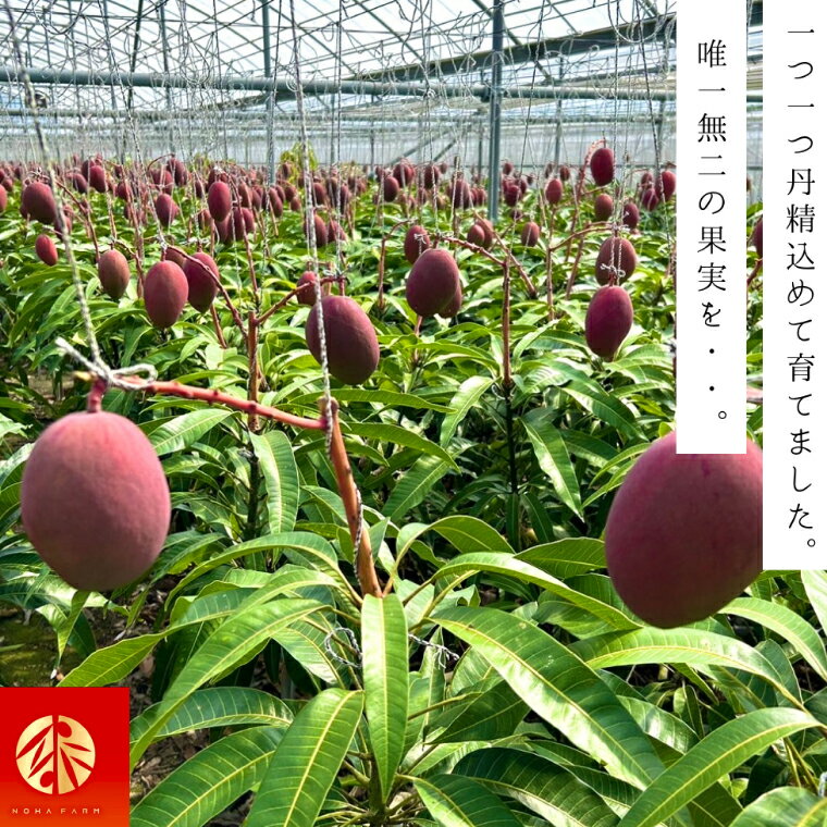 沖縄県豊見城市の画像2