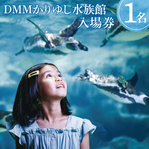 【ふるさと納税】「DMMかりゆし水族館」入場券|水族館 入場券 チケット 旅行 観光 沖縄旅行 沖縄 おきなわ 豊見城市(DG001)