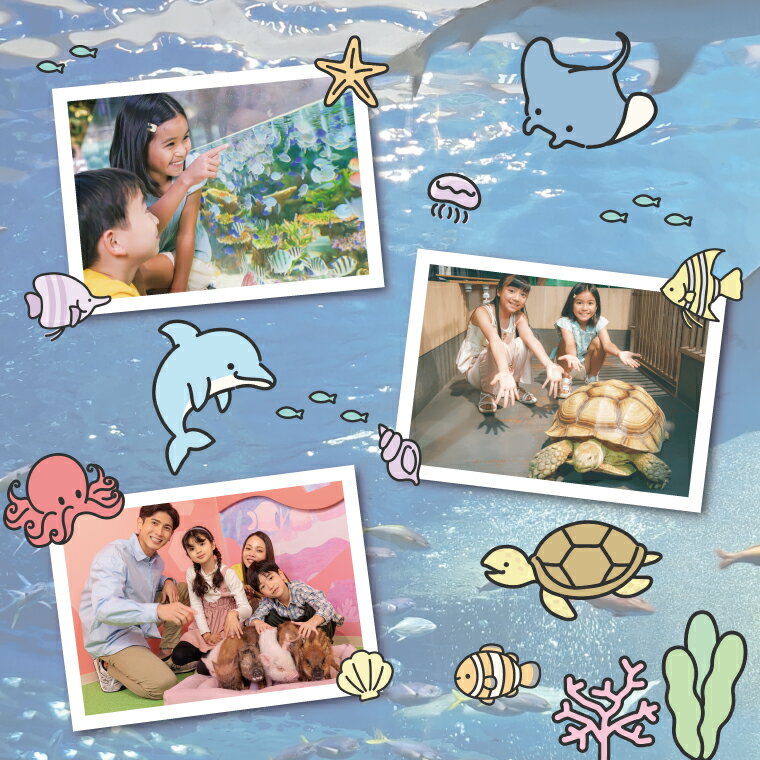 沖縄県豊見城市の画像3