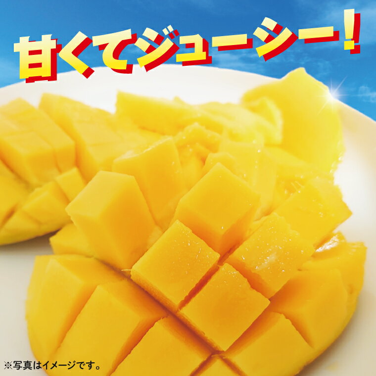 沖縄県豊見城市の画像3