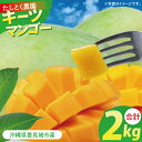 【ふるさと納税】【2025年発送】沖縄県豊見城市産キーツマンゴー 約2kg|マンゴー キーツマンゴー フルーツ くだもの 果物 数量限定 おきなわ 沖縄 沖縄フルーツ 沖縄県 豊見城市(DJ003)