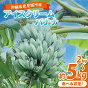 【ふるさと納税】【選べる内容量】アイスクリームバナナ(野菜バナナ) 約2kg~約5kg|バナナ ばなな アイスクリームバナナ 野菜バナナ フルーツ くだもの 果物 沖縄フルーツ 沖縄 沖縄県 豊見城市(DL005)