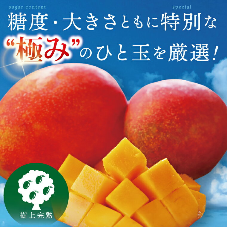 沖縄県豊見城市の画像2