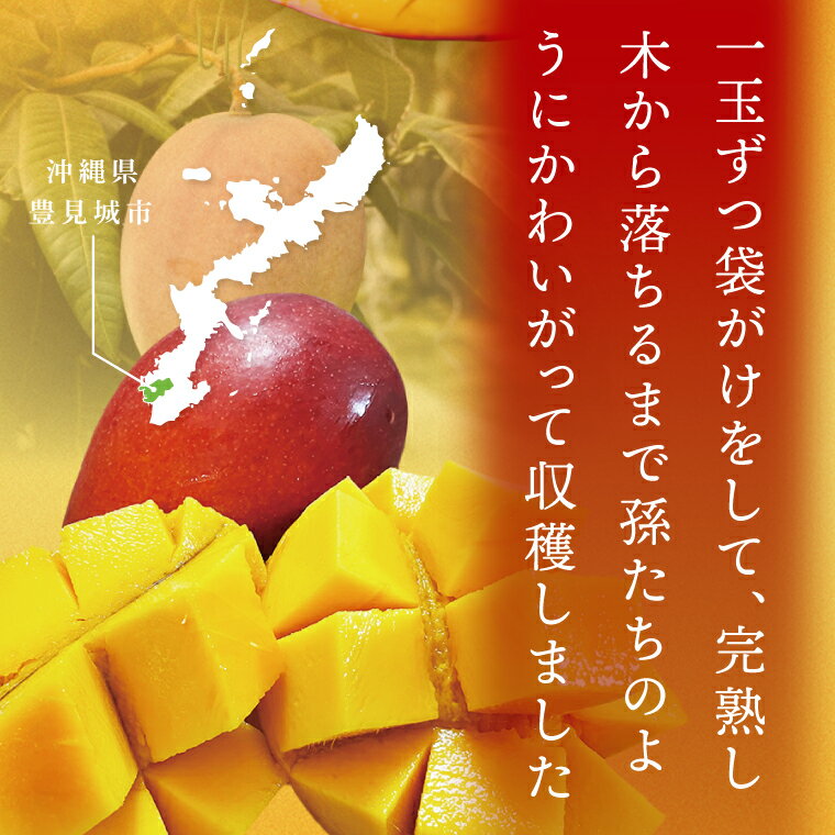 沖縄県豊見城市の画像3