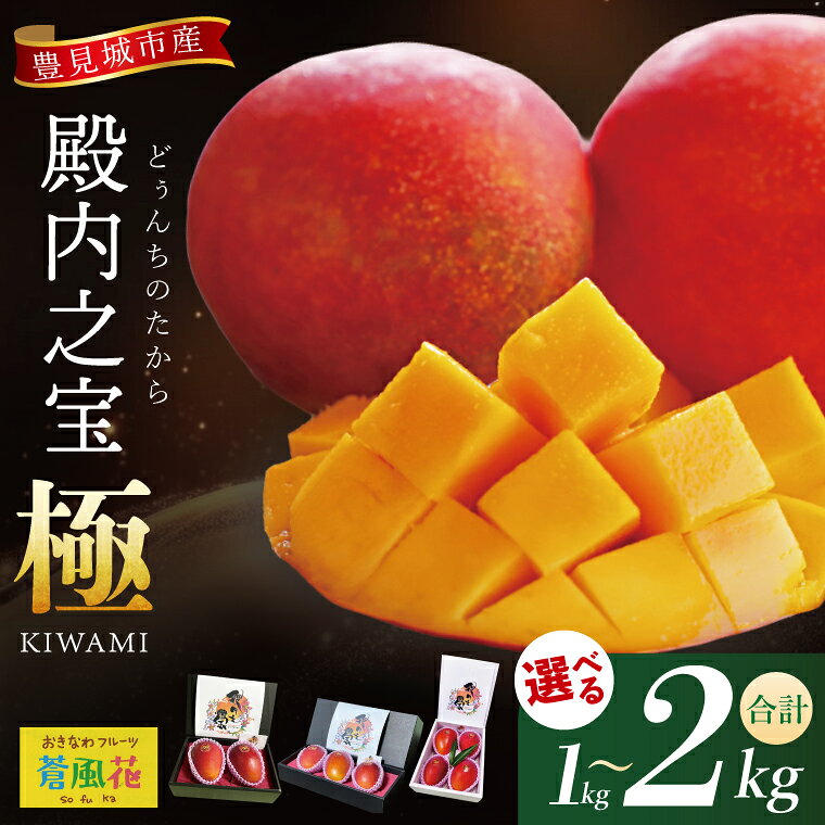 [選べる内容量] [2026年7月より順次発送]豊見城産マンゴー『殿内之宝(どぅんちのたから)・極』|マンゴー フルーツ 果物 くだもの 先行予約 完熟マンゴー 沖縄フルーツ おきなわ 沖縄 沖縄県 豊見城市