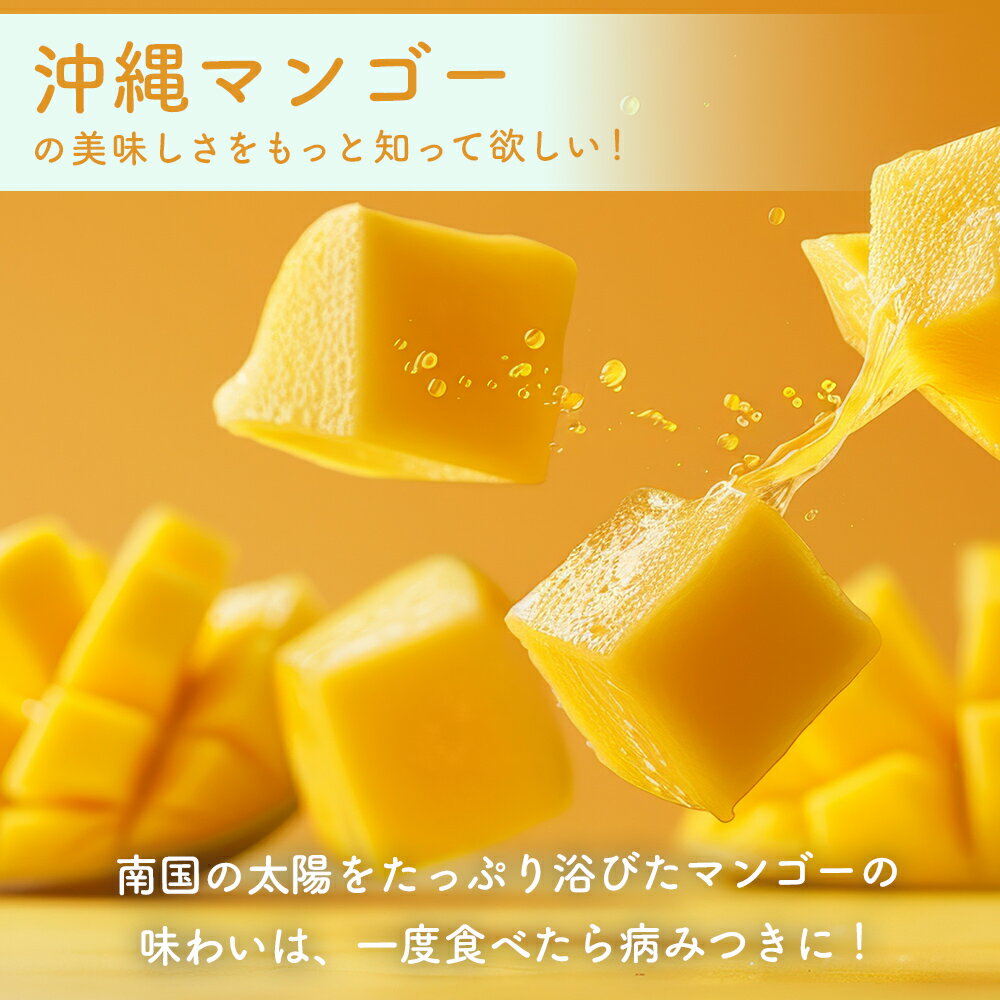 沖縄県うるま市の画像3