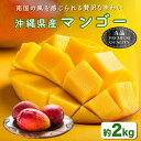 【ふるさと納税】ハナトフルーツ 沖縄県産マンゴーA品 2kg 【2025年発送】マンゴー 沖縄 うるま市 フルーツ 果物 産地直送 プレゼント 贈り物 国産 お...