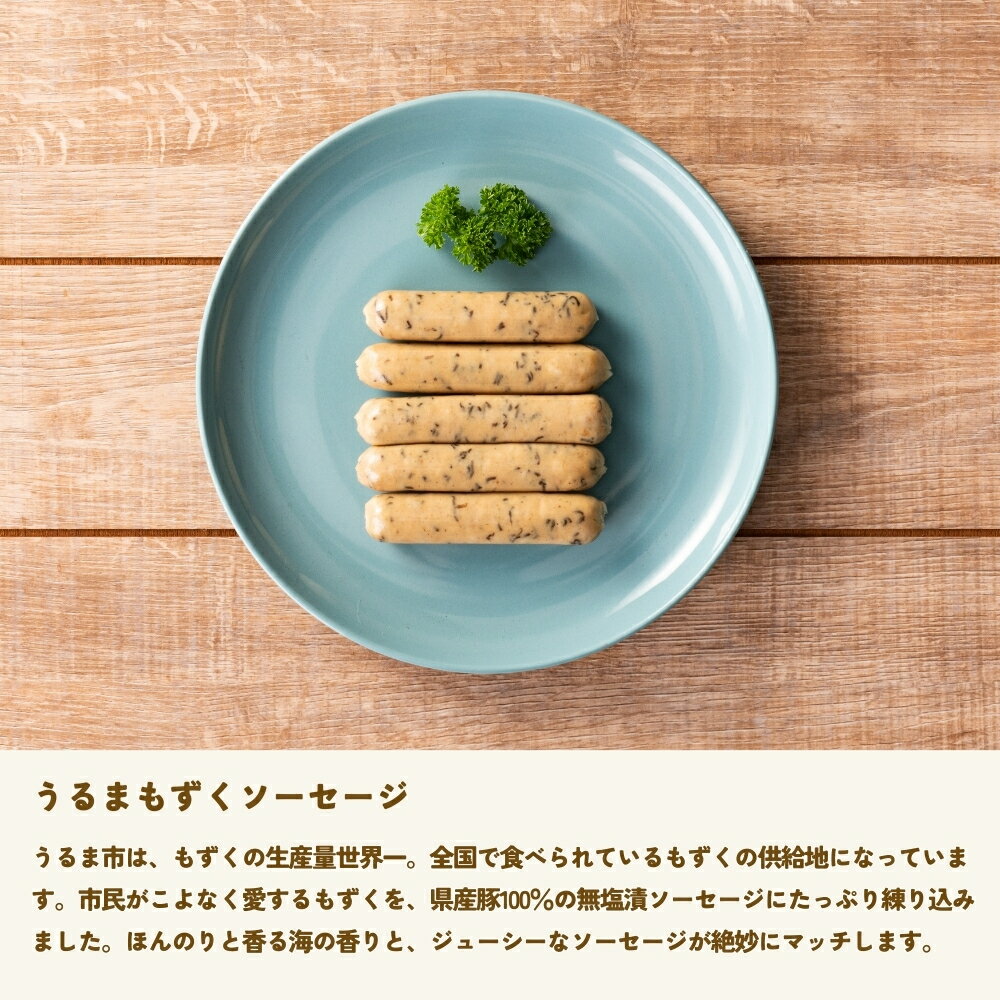 【ふるさと納税】うるまのみーむんセット 沖縄・うるまの素材 ソーセージ ケーゼ ローストポーク 豚 ゴーヤー もずく 浜比嘉島 塩 食品添加物不使用 沖縄 うるま市