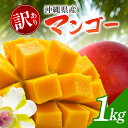 【ふるさと納税】【 先行予約 2026年発送 】訳ありマンゴー 1kg 沖縄県産 マンゴー 訳あり 1キロ 訳アリ 国産 完熟マンゴー 果物 南国 くだもの フルーツ 完熟 夏 旬 特産品 沖縄 取り寄せ 産地直送 農家直送 甘い 濃厚 うるま市
