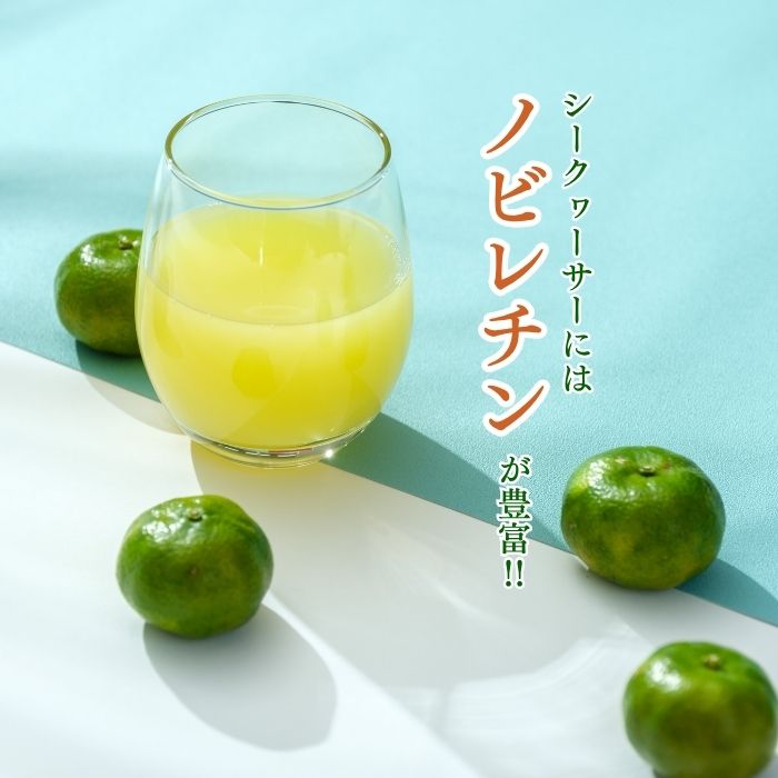 沖縄県うるま市の画像3