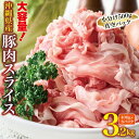 【ふるさと納税】大容量!沖縄県産豚スライス3.2キロセット 県産 豚肉 大容量 豚肉 スライス肉 肉 ジューシー 沖縄 うるま市