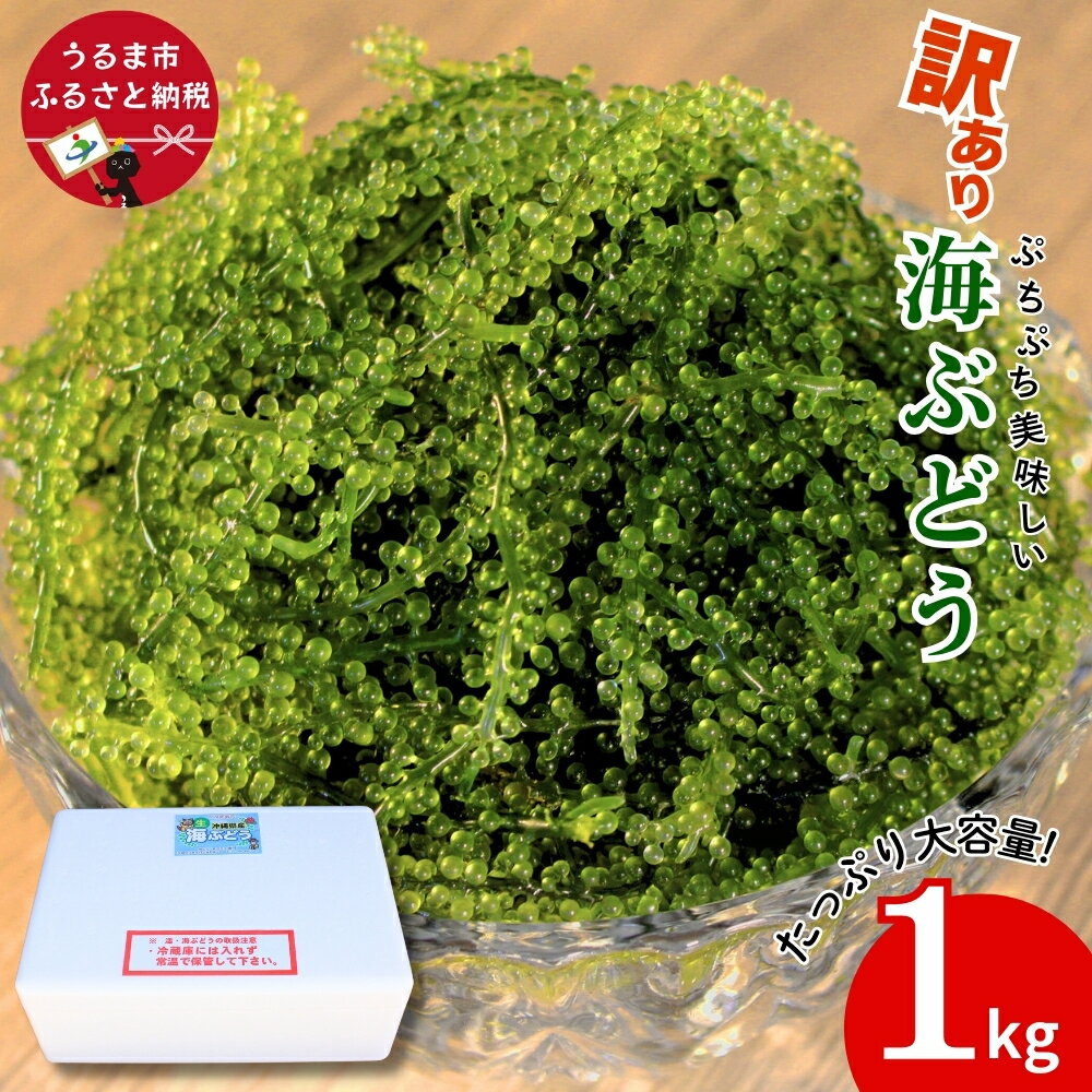 【ふるさと納税】訳あり海ぶどう 1kg(茎付き)【うるま市産】沖縄 ふるさと納税 海ぶどう ぷちぷち 大容量 サラダ 海鮮丼