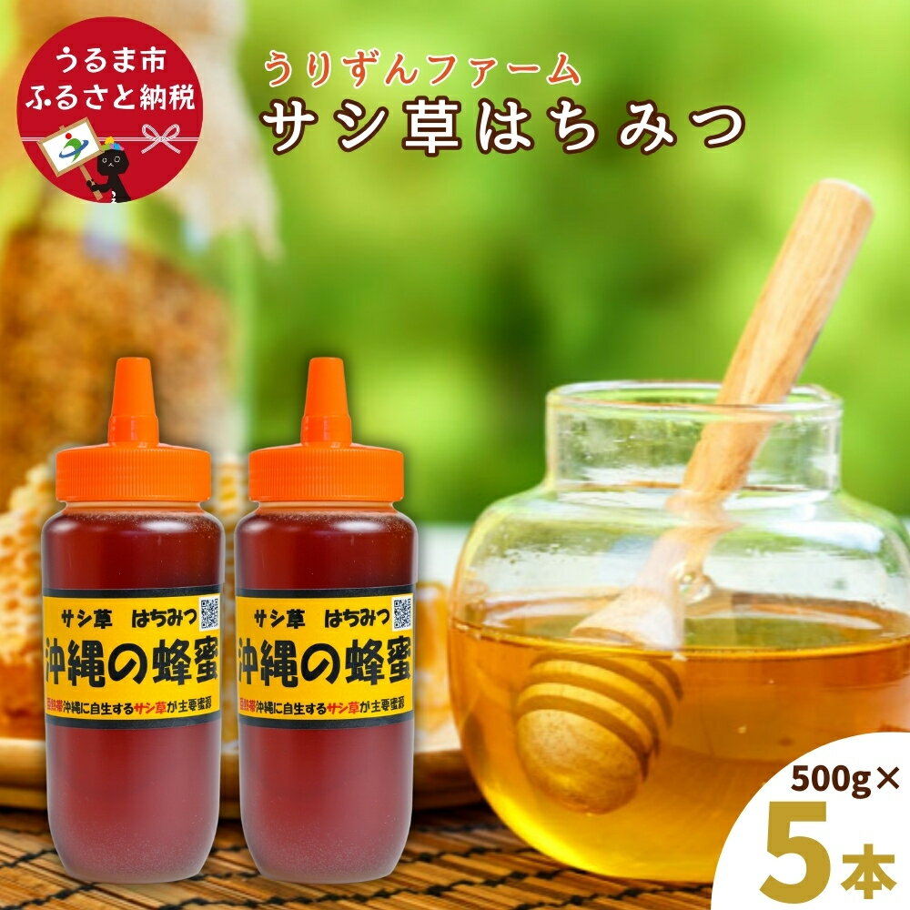 【ふるさと納税】うるま市で採れた「サシ草はちみつ」500g×2本セット 沖縄 うるま市 ハチミツ 蜂蜜 サシ草 センダングサ 薬草