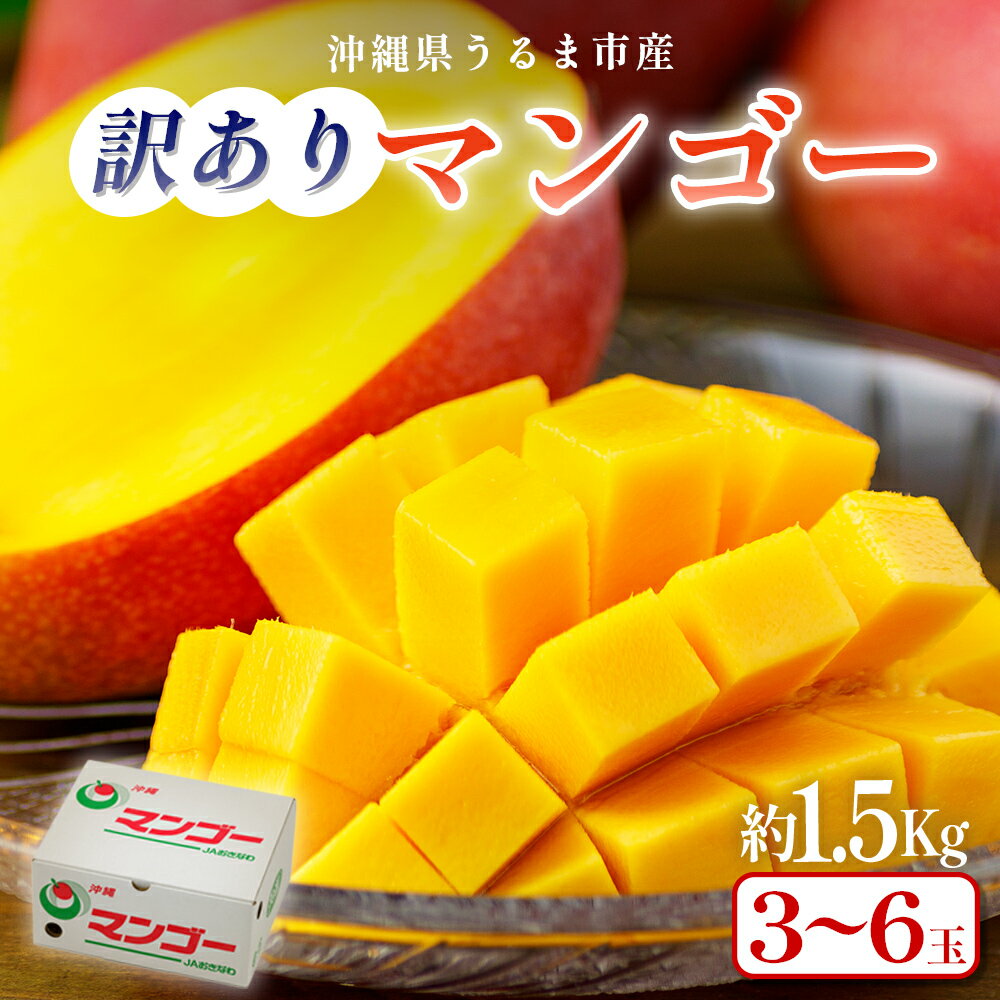 【ふるさと納税】沖縄県 うるま市産 完熟 マンゴー 訳あり品 1.5kgのサムネイル