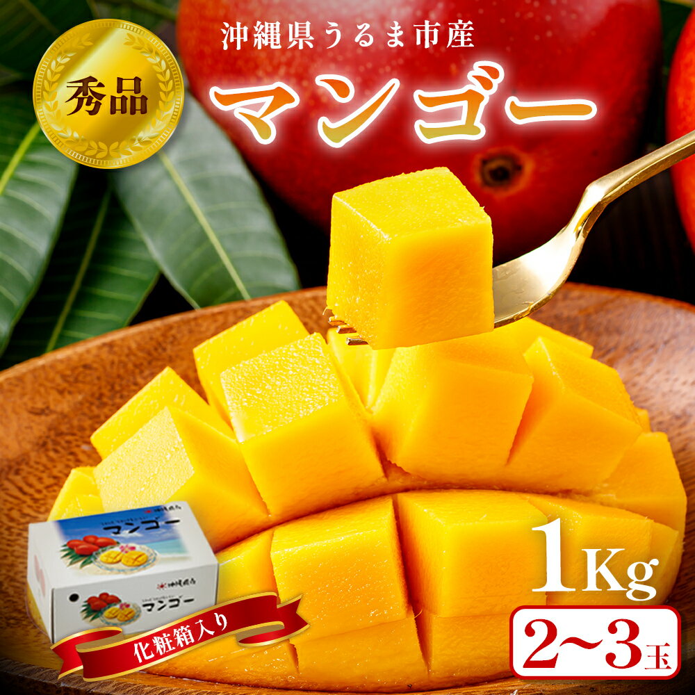 【ふるさと納税】沖縄県 うるま市産 完熟 マンゴー 秀品 1kg【2025年発送】 マンゴー 沖縄 秀品 ギフト 完熟マンゴー アップルマンゴー フルーツ 果物 産地直送 プレゼント 贈り物 国産 お取り寄せ 財宝のサムネイル