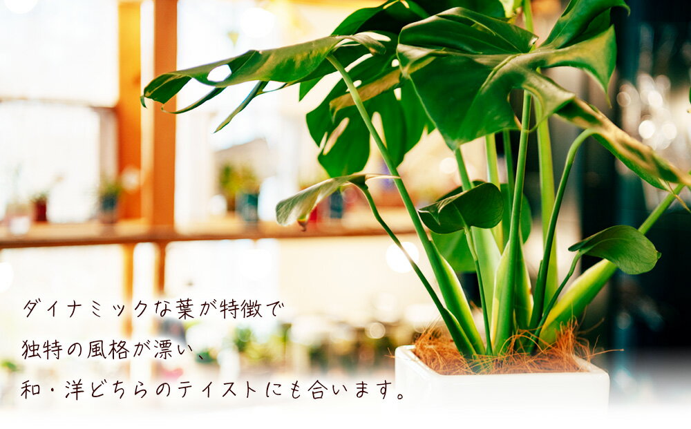 沖縄県うるま市の画像2