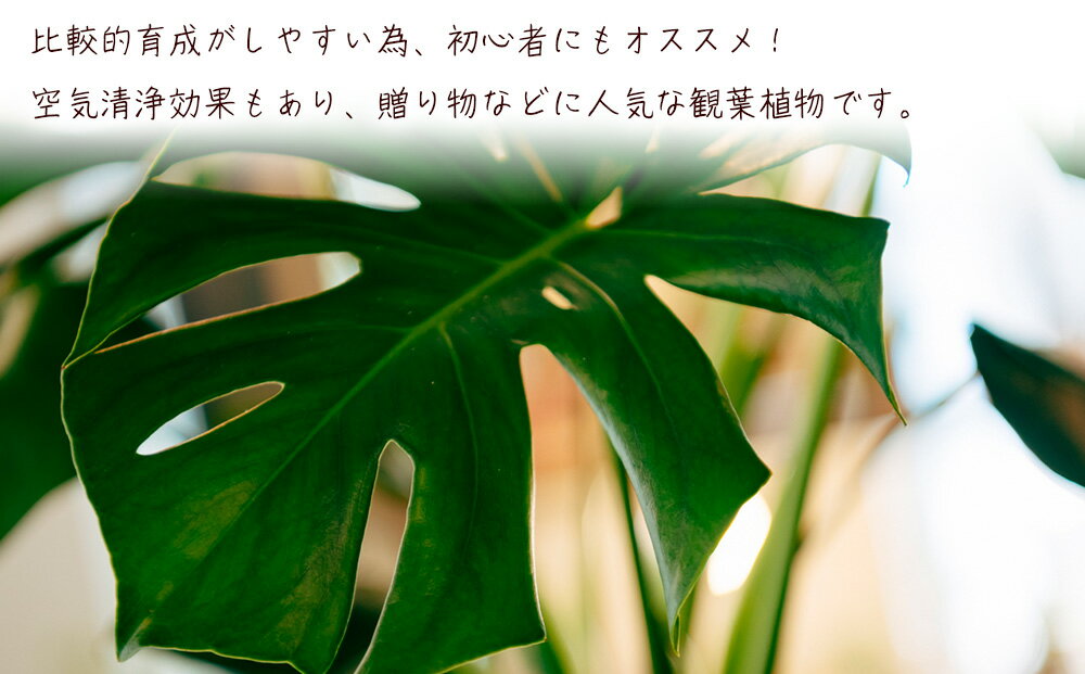 沖縄県うるま市の画像3