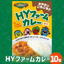 【ふるさと納税】うるマルシェ HYファームカレー 10個セット HY 沖縄 うるま市 宮城島 HYファーム うるま市産野菜 レトルトカレー