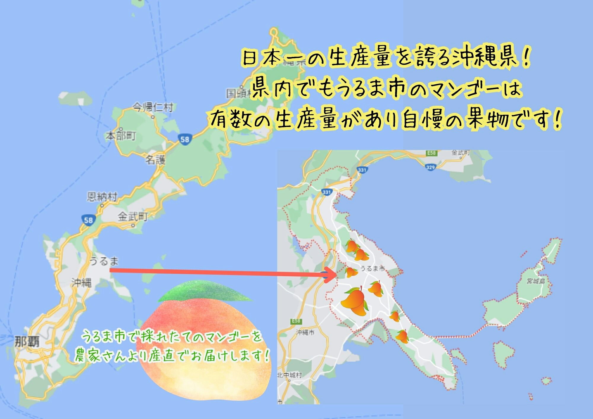 【ふるさと納税】徳田さんの最高級贈答用マンゴー　中玉3個　【2024年発送】　アップルマンゴー　贈答用　最高級　美しい　美味　沖縄県産