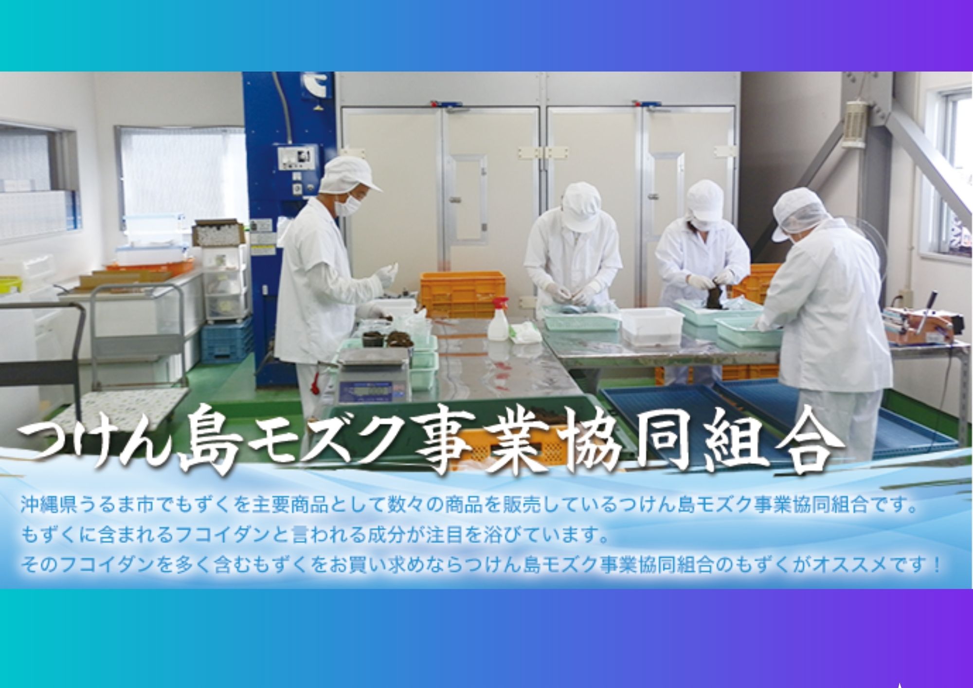 【ふるさと納税】つけん島モズク（約1Kg×3回）国内シェアNo.1【3回定期便】　うるま市　海の恵み　健康　もずく　フコイダン　ミネラル　沖縄　海