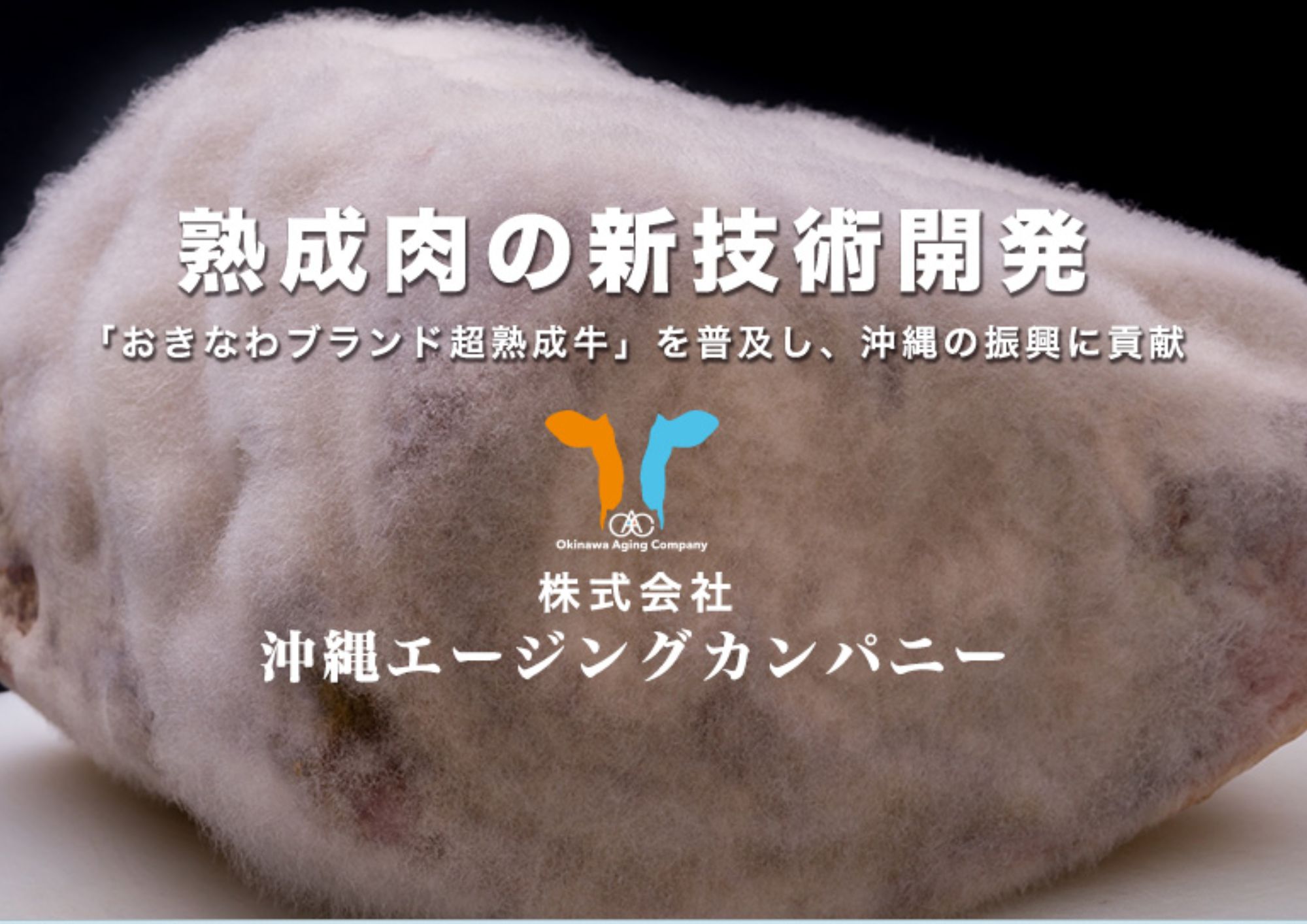 沖縄県うるま市の画像2