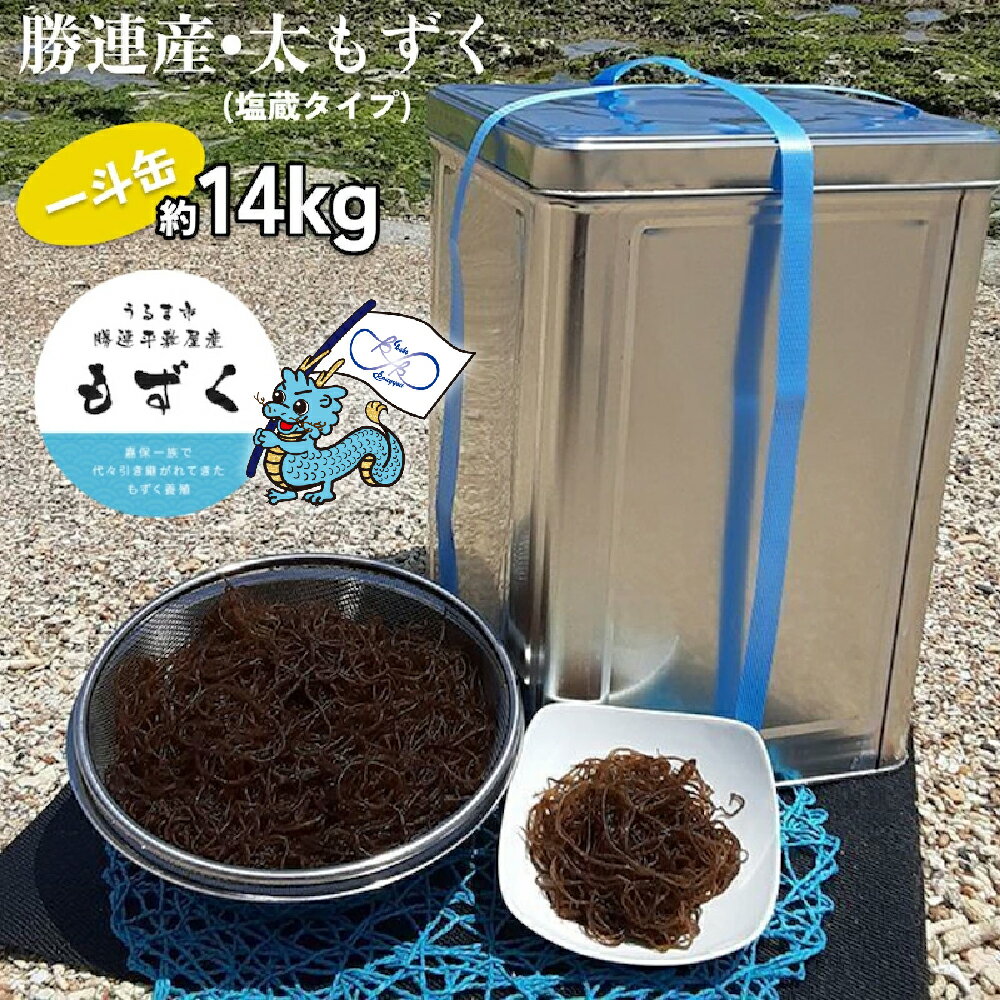 魚介類・水産加工品(海藻類)人気ランク13位　口コミ数「1件」評価「5」「【ふるさと納税】勝連産・太もずく（塩蔵タイプ）　約14kg一斗缶入り【嘉保水産】　勝連産　太もずく　塩蔵タイプ　約14kg　一斗缶　沖縄　うるま市　海の幸」