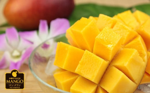 【ふるさと納税】【 先行予約 2026年発送 】秀品 2kg 沖縄県産 マンゴー 2キロ 国産 完熟マンゴー 果物 南国 くだもの フルーツ 完熟 夏 旬 特産品 沖縄 取り寄せ 産地直送 農家直送 甘い 濃厚 うるま市 マンゴラン