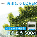 【ふるさと納税】海ぶどうLover　500gパック【2024