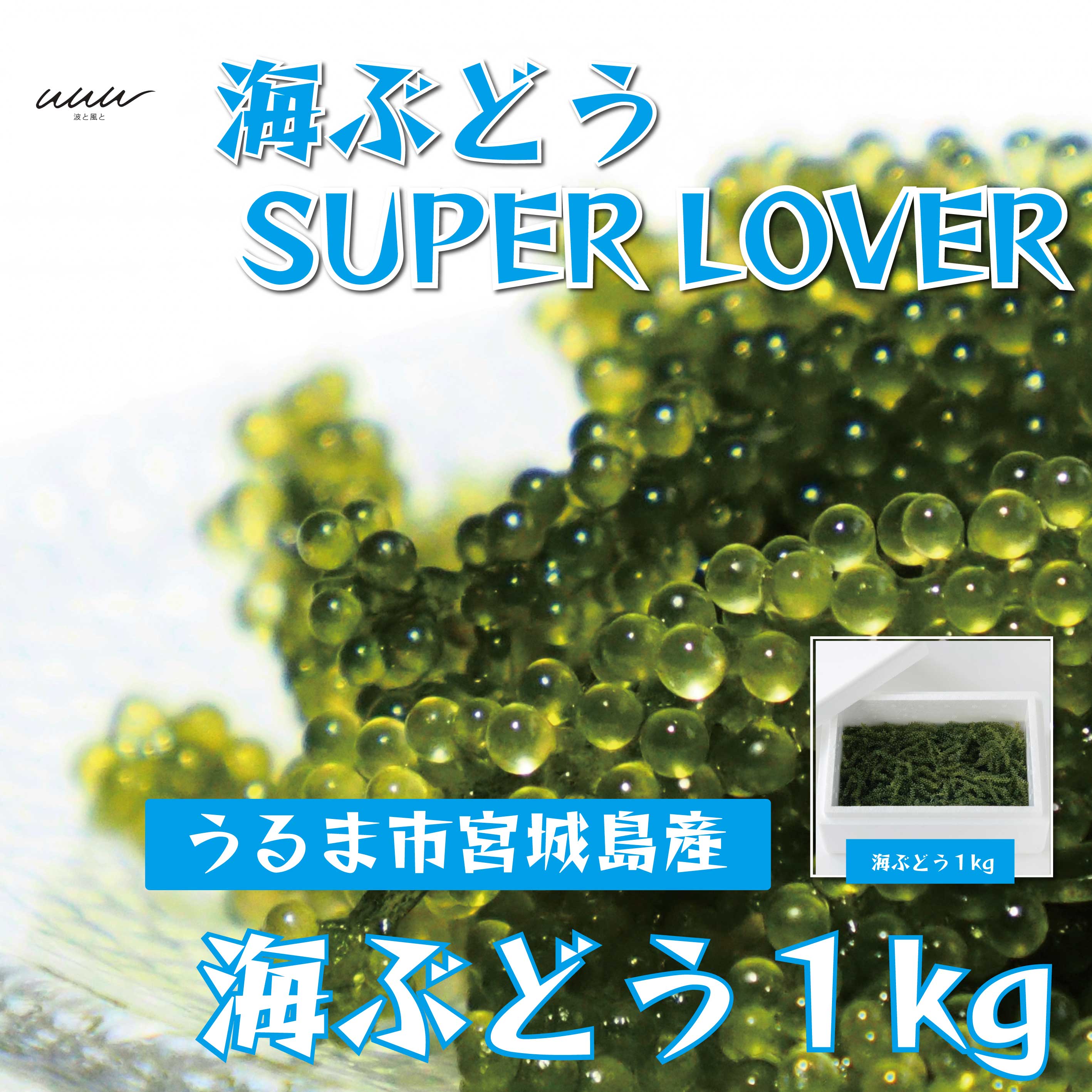 【ふるさと納税】海ぶどうSuperLover　大容量1kgパ