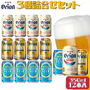 【ふるさと納税】オリオンビール　3種類詰め合わせセット　オリ
