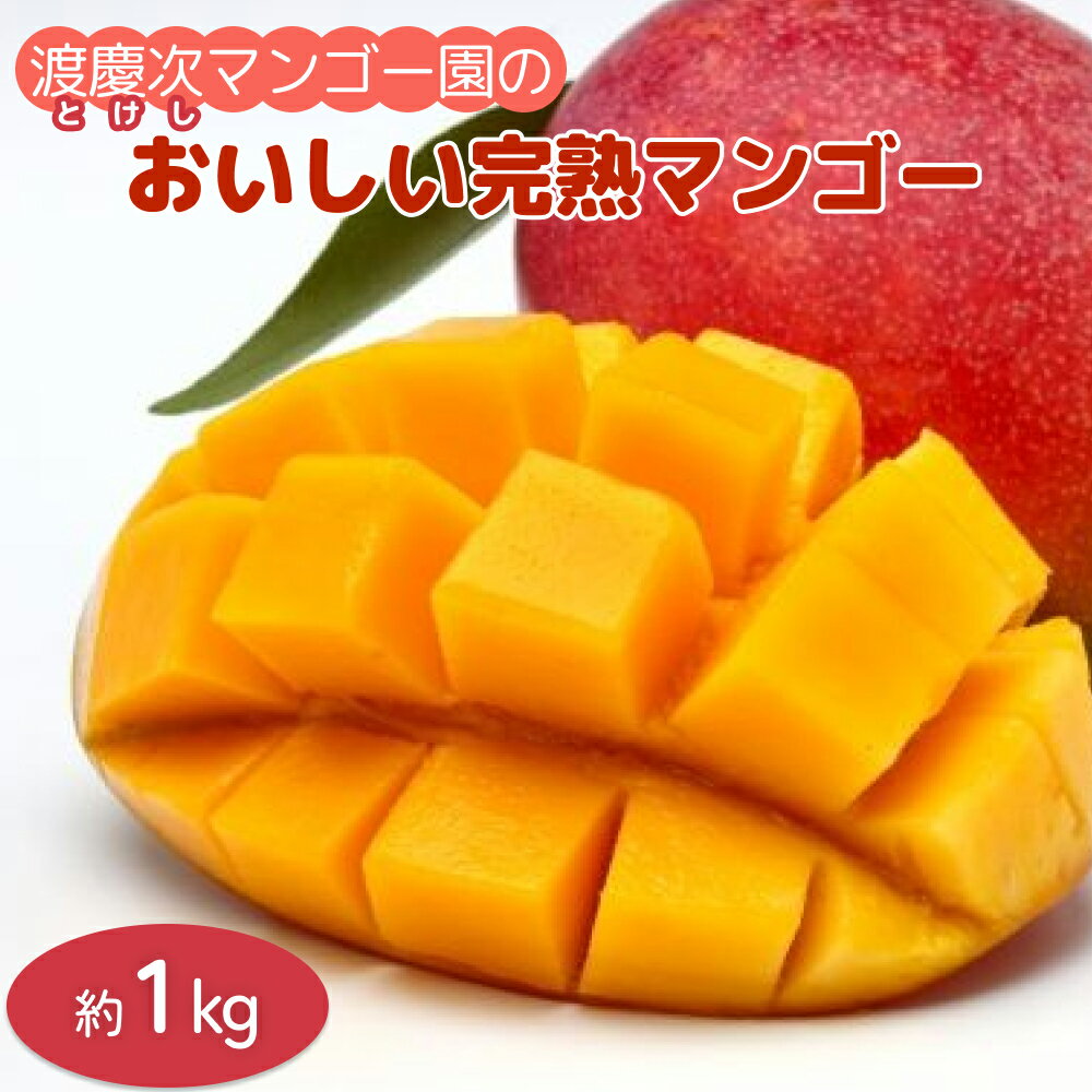 【ふるさと納税】渡慶次マンゴー園の完熟マンゴー約1Kg【2024年発送】のサムネイル