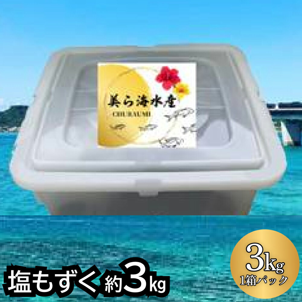 【美ら海水産】塩もずく（約3kg）もずく 海藻 スヌイ 低カロリー 酢の物 てんぷら 汁物 漬物 サラダ 沖縄 うるま市