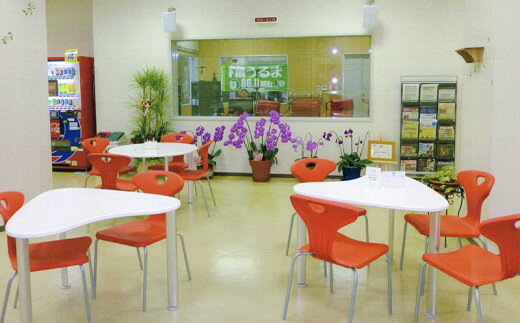 沖縄県うるま市の画像3