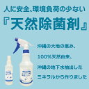 12位! 口コミ数「0件」評価「0」レキオパワー【沖縄県産】除菌スプレー（480ml×2本）