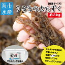 【ふるさと納税】海市水産から直送する「うるまの太もずく約3kg【塩蔵】」沖縄もずく うるま市 もずく 3kg 塩蔵 産直