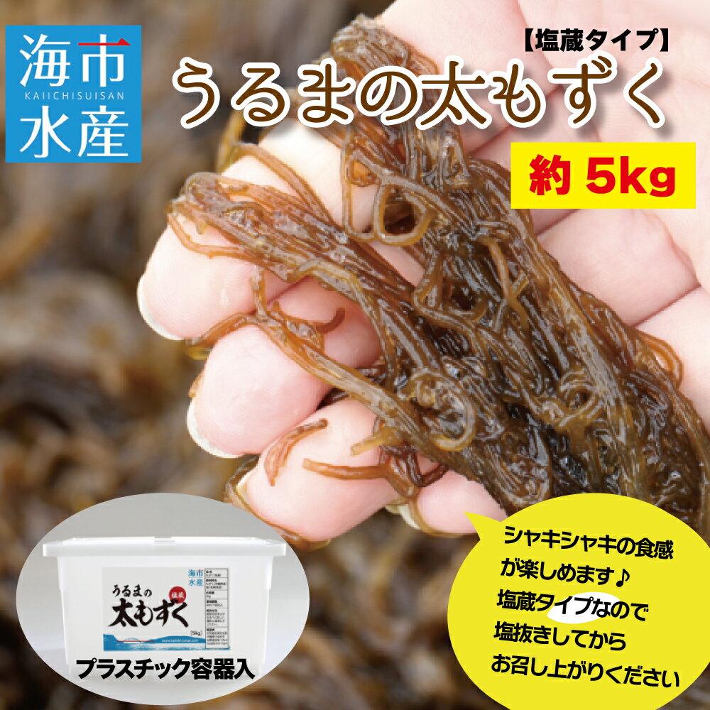 【ふるさと納税】海市水産から直送する「うるまの太もずく約5kg【塩蔵】」沖縄もずく　うるま市　もずく　太もずく　産直　5kg