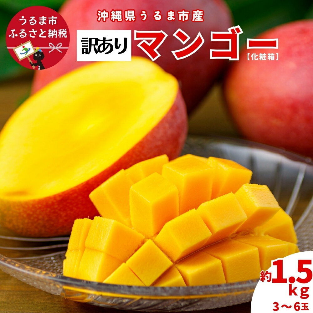 沖縄県 うるま市産 完熟 マンゴー 訳あり品 1.5kg