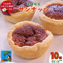 【ふるさと納税】薬膳琉花 サンナッツ(10個入り)焼き菓子 沖縄菓子 素材にこだわった おやつ おかし うるま市 タルト 黒糖 ココナッツ 手作り
