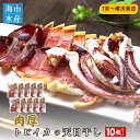 【ふるさと納税】肉厚トビイカの天日干し 10枚セット【海市水産から直送】沖縄 肉厚 トビイカ 姿干し イカ 魚介 海鮮 干物 おつまみ おかず ゲソ 耳 コリコリ食感 炙り 酒の肴 アテ お取り寄せ グルメ