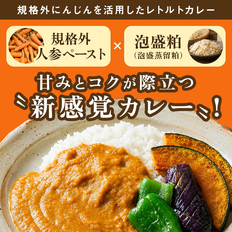 【ふるさと納税】 泡盛香るベジカレー読谷村人参ver. 5袋 沖縄 人参 にんじん ベジタリアン カレー レトルト 泡盛 読谷村 うるま f472131-uruma-10001971 沖縄県うるま市 サンプル画像2