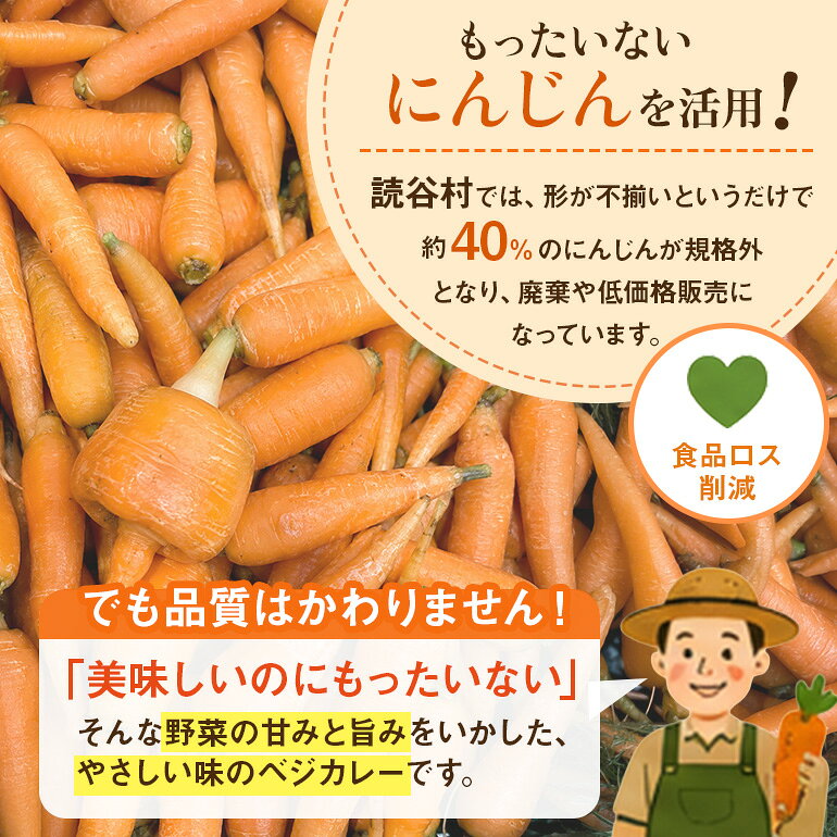 【ふるさと納税】 泡盛香るベジカレー読谷村人参ver. 5袋 沖縄 人参 にんじん ベジタリアン カレー レトルト 泡盛 読谷村 うるま f472131-uruma-10001971 沖縄県うるま市 サンプル画像3