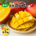 【ふるさと納税】訳ありマンゴー1kg (2~3玉)【熱帯資源植物研究所】 マンゴー 沖縄 完熟マンゴー アップルマンゴー フルーツ 果物 産地直送 国産 お取り寄せ うるま市