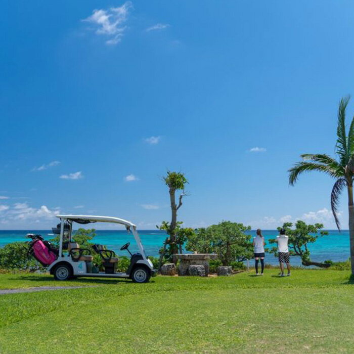 【ふるさと納税】エメラルドコーストゴルフリンクス　プレー3,000点クーポン 南国 宮古島 離島 ゴルフ 海越え(Q103 ）