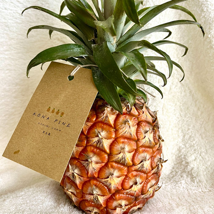 沖縄県宮古島市の画像2