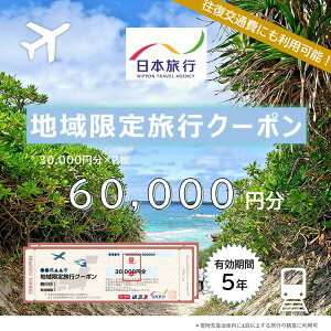 【ふるさと納税】沖縄県宮古島市 日本旅行 地域限定旅行クーポン60,000円分(JT003)