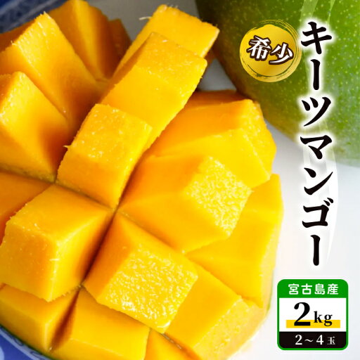 【ふるさと納税】宮古島産 希少 キーツマンゴー2kg【(株)フラモン】(JH014) 【ふるさと納税】宮古島産 希少 キーツマンゴー2kg【(株)フラモン】(JH014)